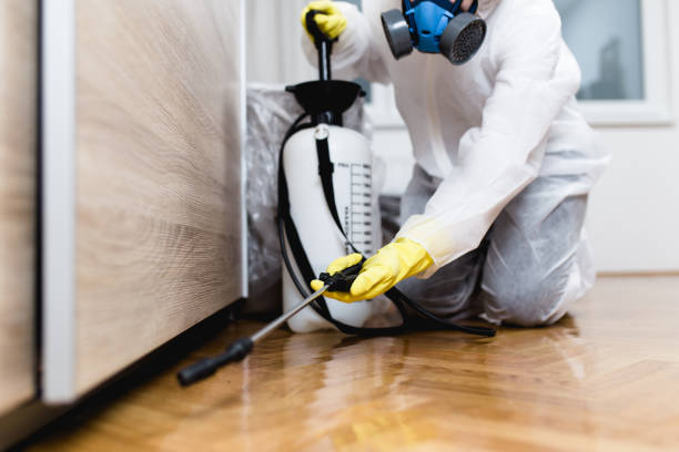 Best Pest Prevention Services  in Morris, MN