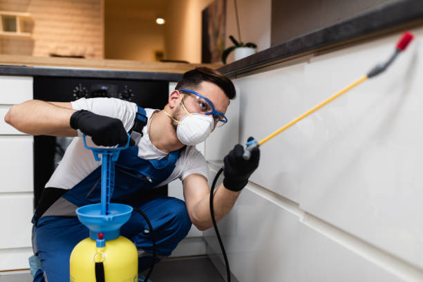 Best Best Pest Control Companies  in Morris, MN