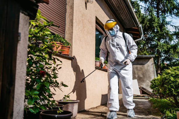Best Cockroach Control Services  in Morris, MN