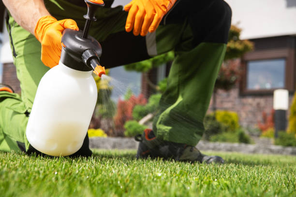 Best Local Pest Control Services  in Morris, MN