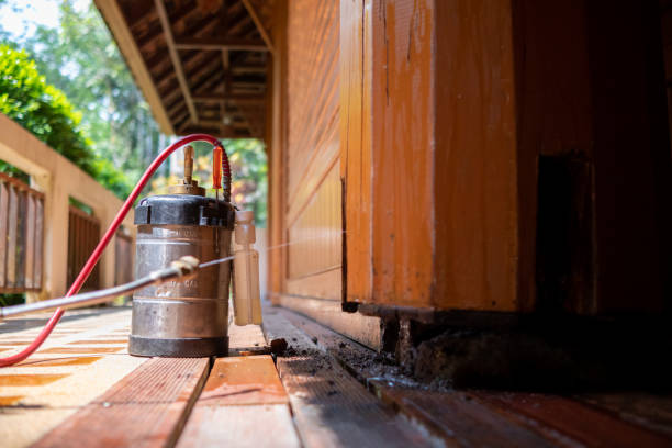 Best Wasp Removal Services  in Morris, MN