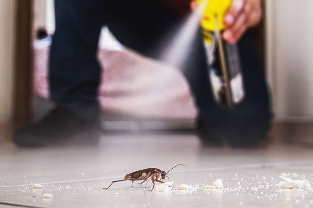 Best Best Pest Control Companies  in Morris, MN