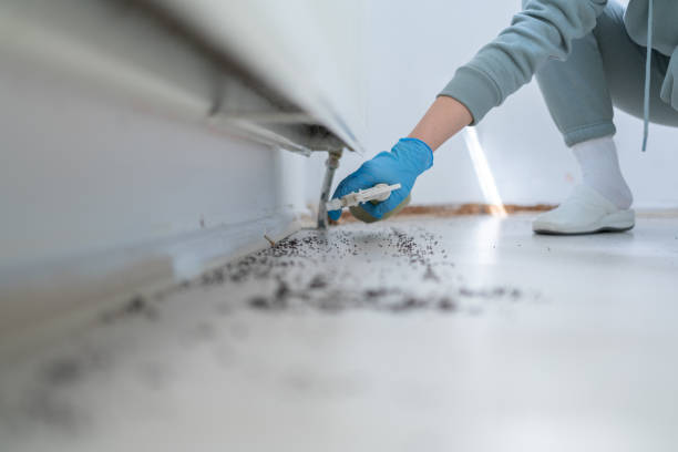 Best Bed Bug Extermination  in Morris, MN
