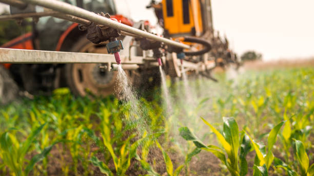 Professional Pest Control in Morris, MN