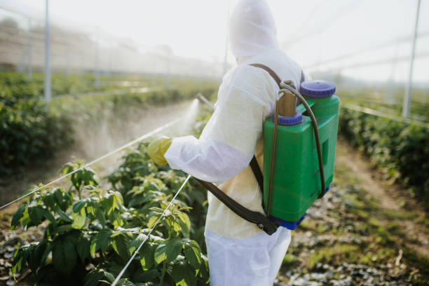 Best Flea Control Services  in Morris, MN